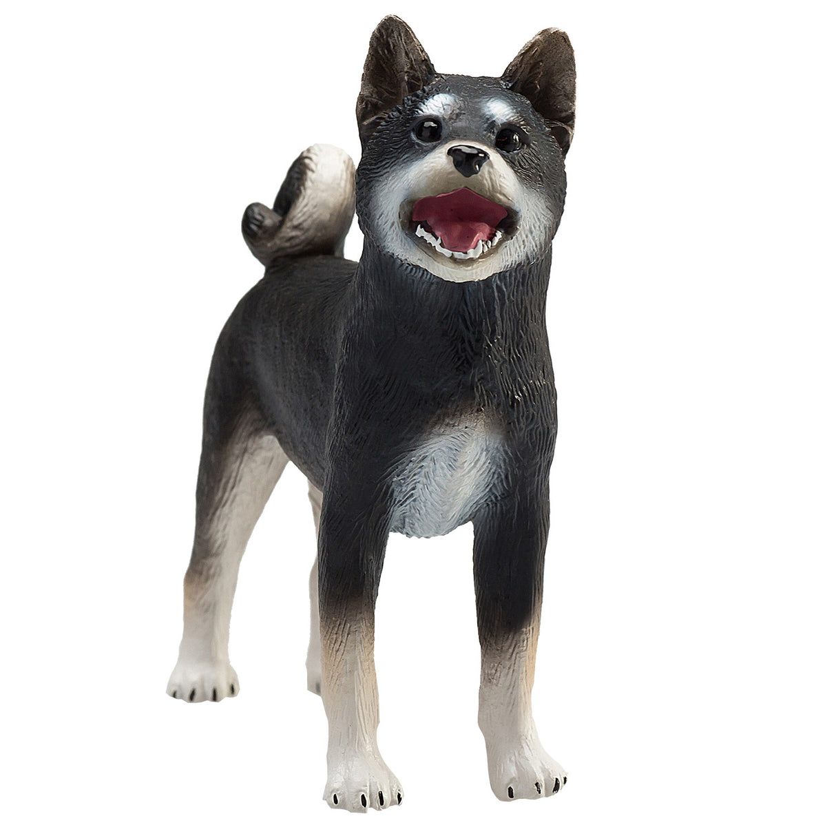 Mojo terres agricoles shiba inu noir - 387363