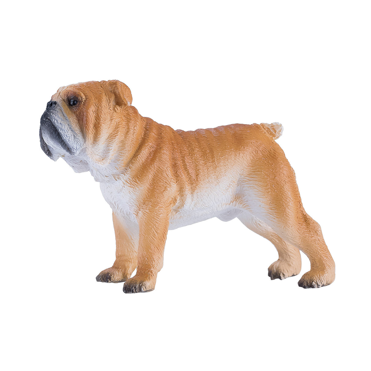Bouledogue anglais des terres agricoles Mojo - 381053