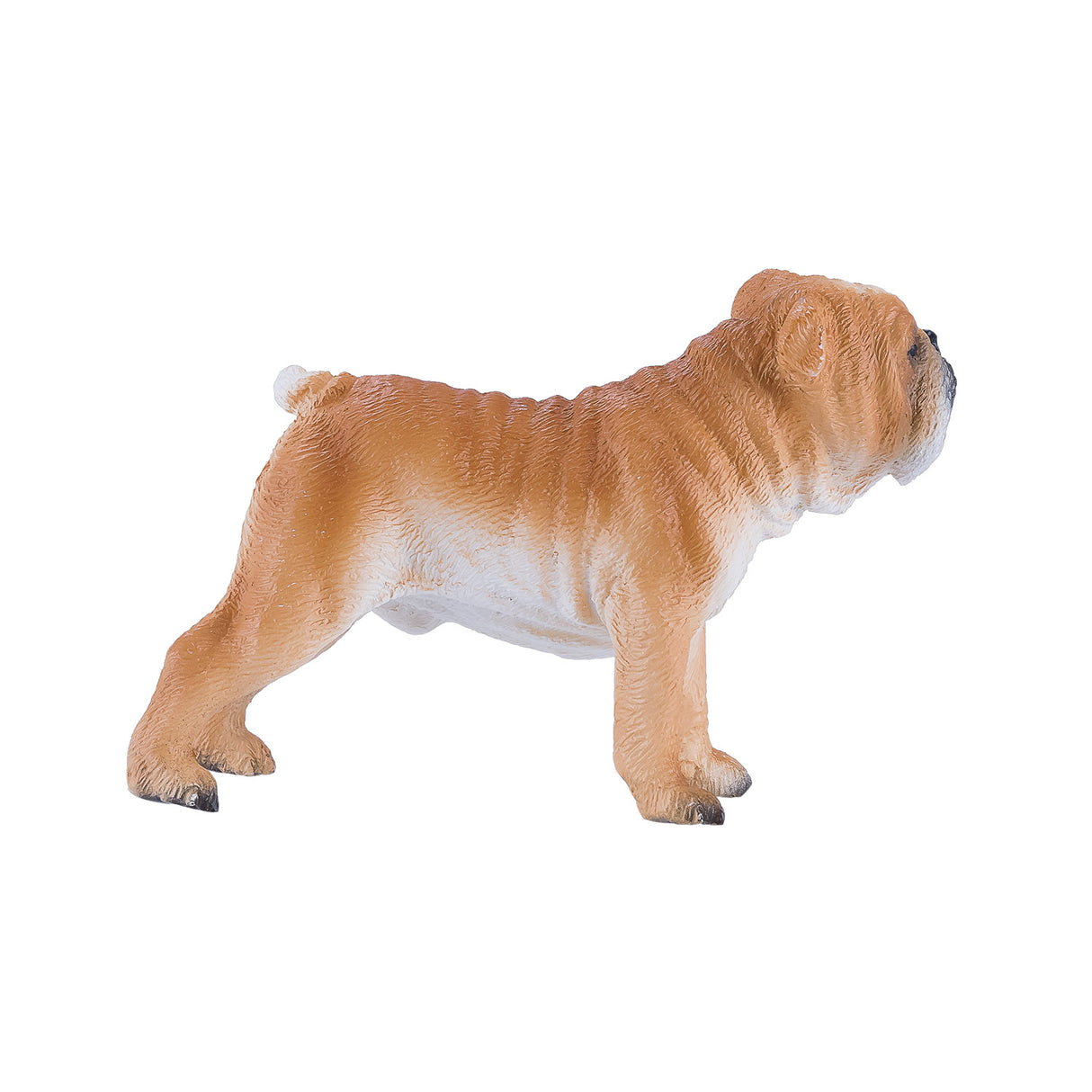 Bouledogue anglais des terres agricoles Mojo - 381053