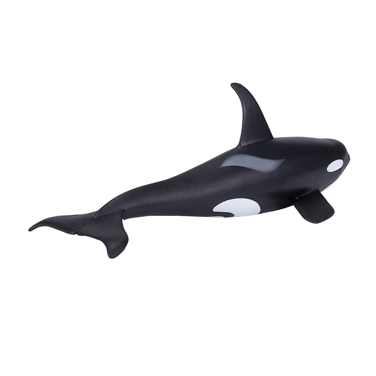 Épaulard mâle Mojo sealife - 387114