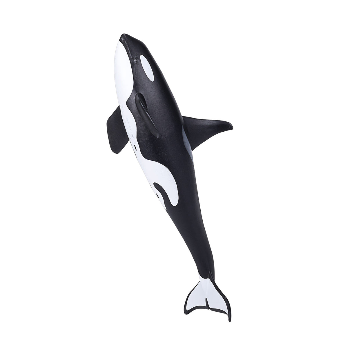 Épaulard mâle Mojo sealife - 387114