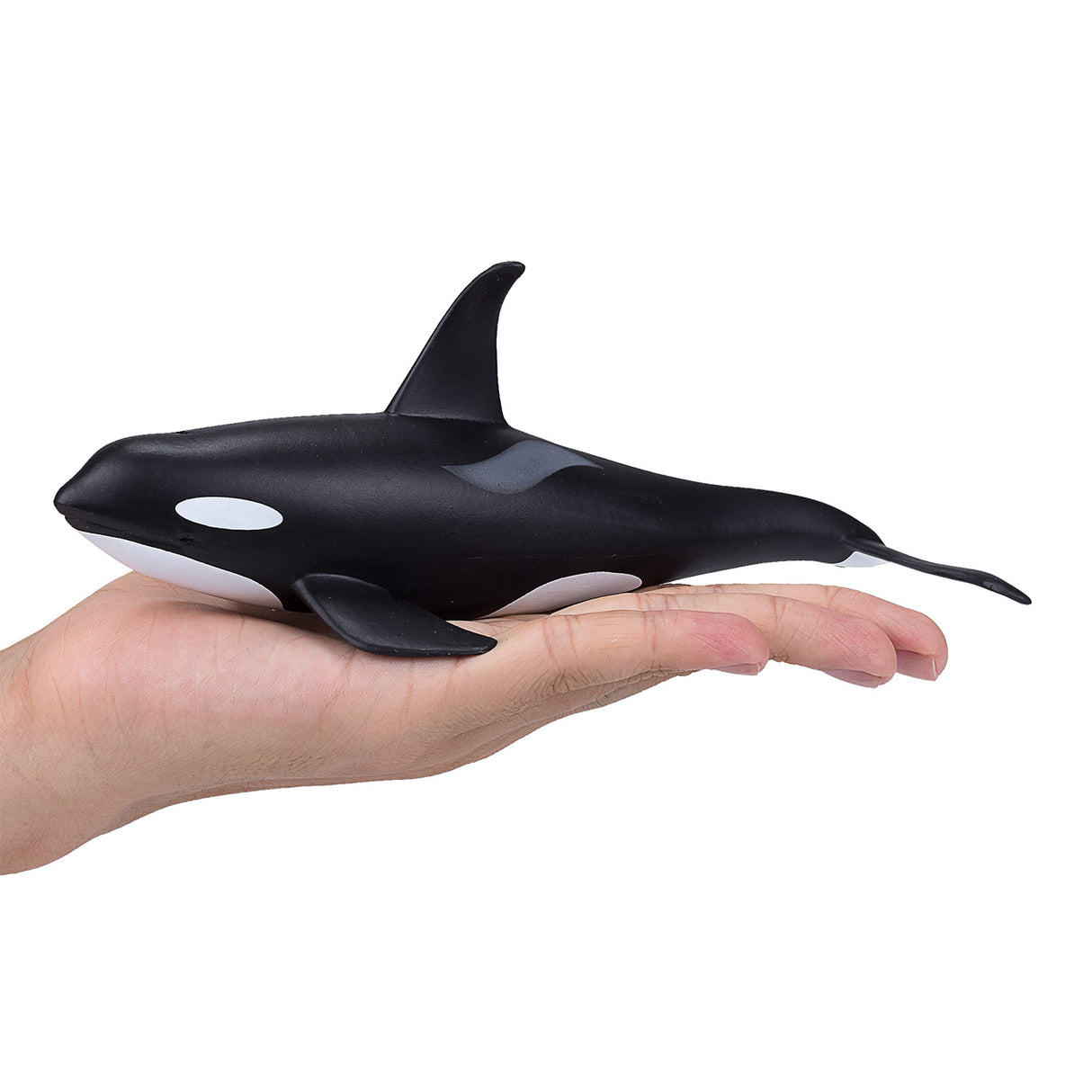 Épaulard mâle Mojo sealife - 387114