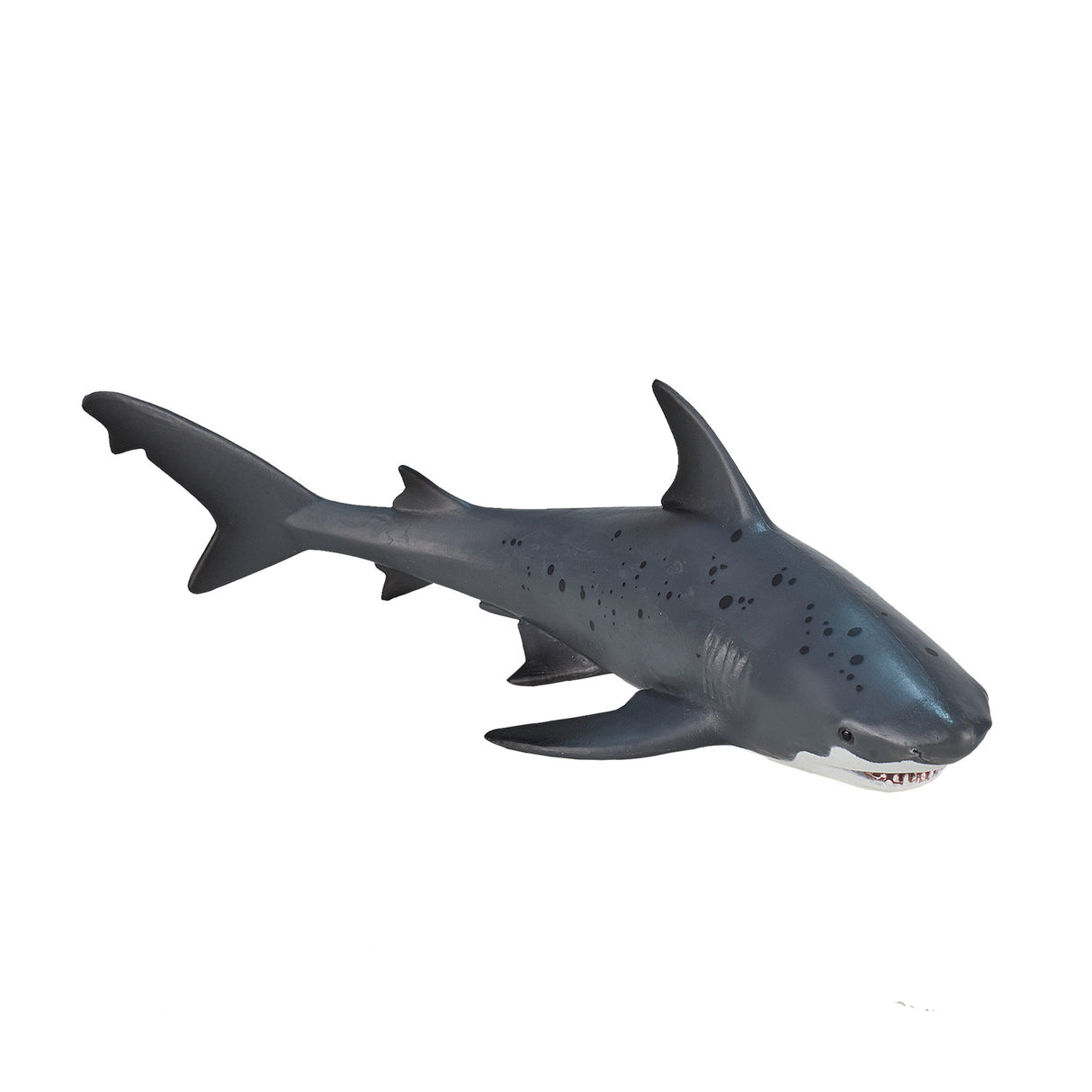 Requin taureau Mojo sealife - 387270