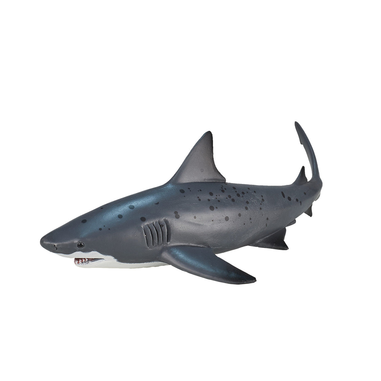 Requin taureau Mojo sealife - 387270