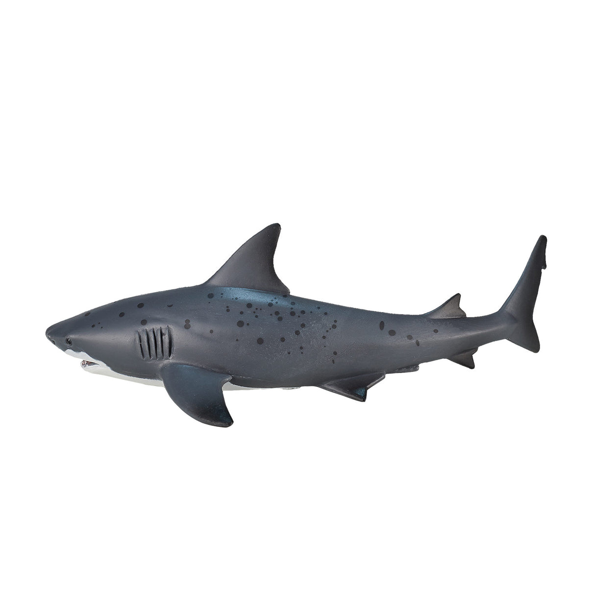Requin taureau Mojo sealife - 387270