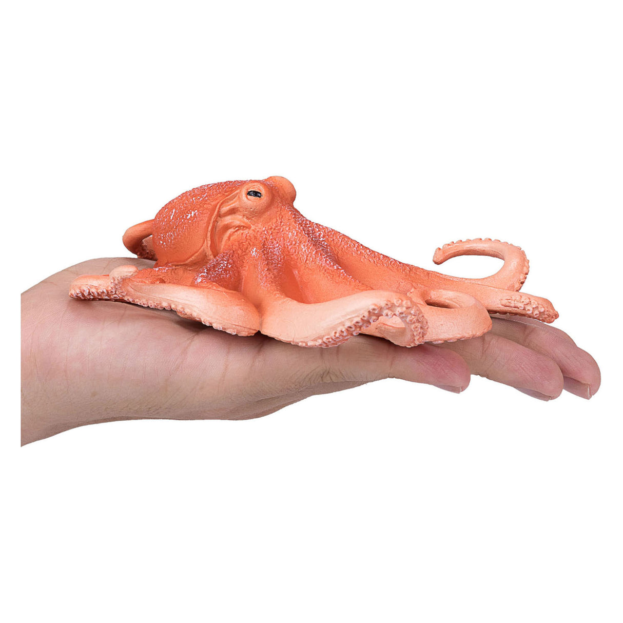 Poulpe Mojo Sealife 387275
