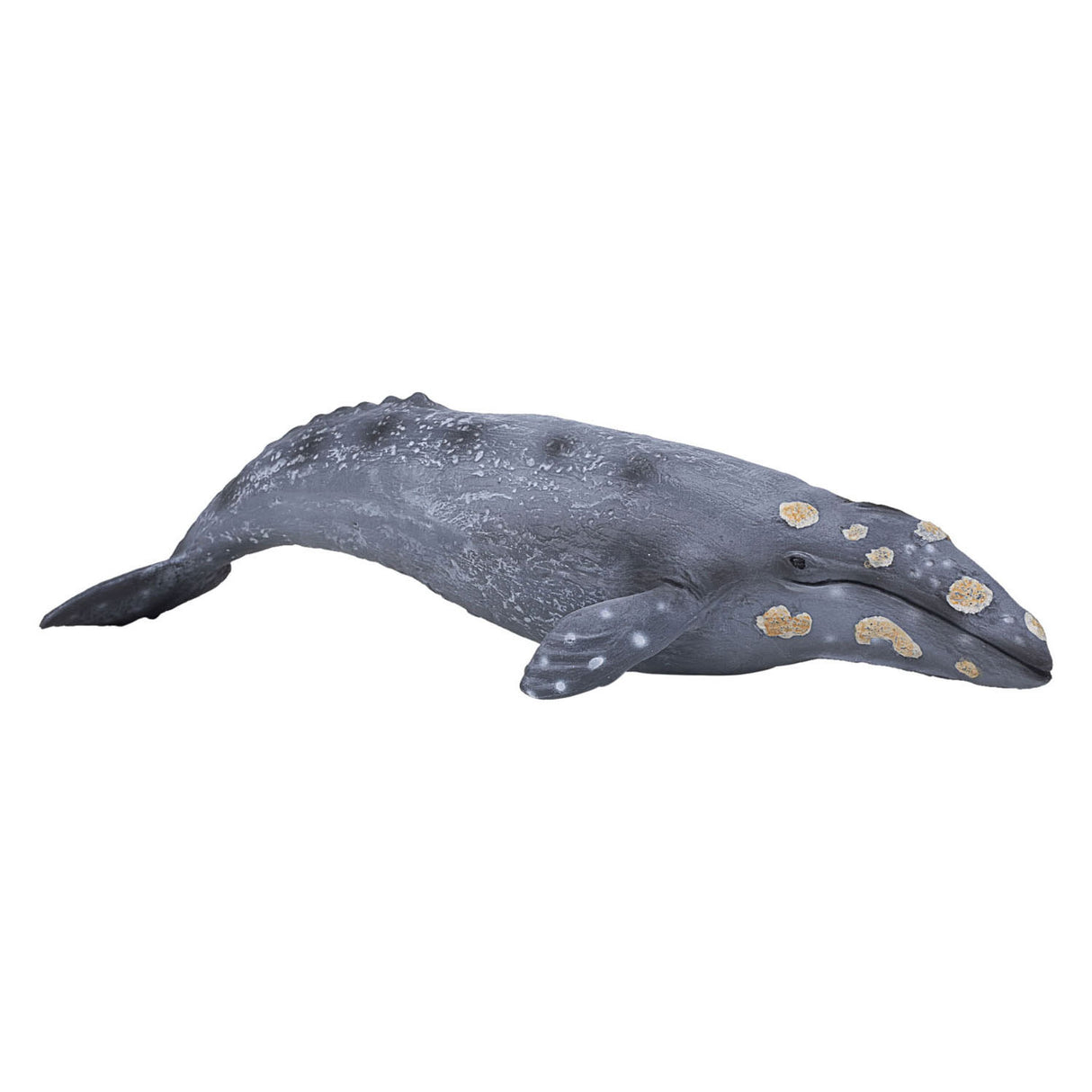 Mojo sealife - baleine grise 387280