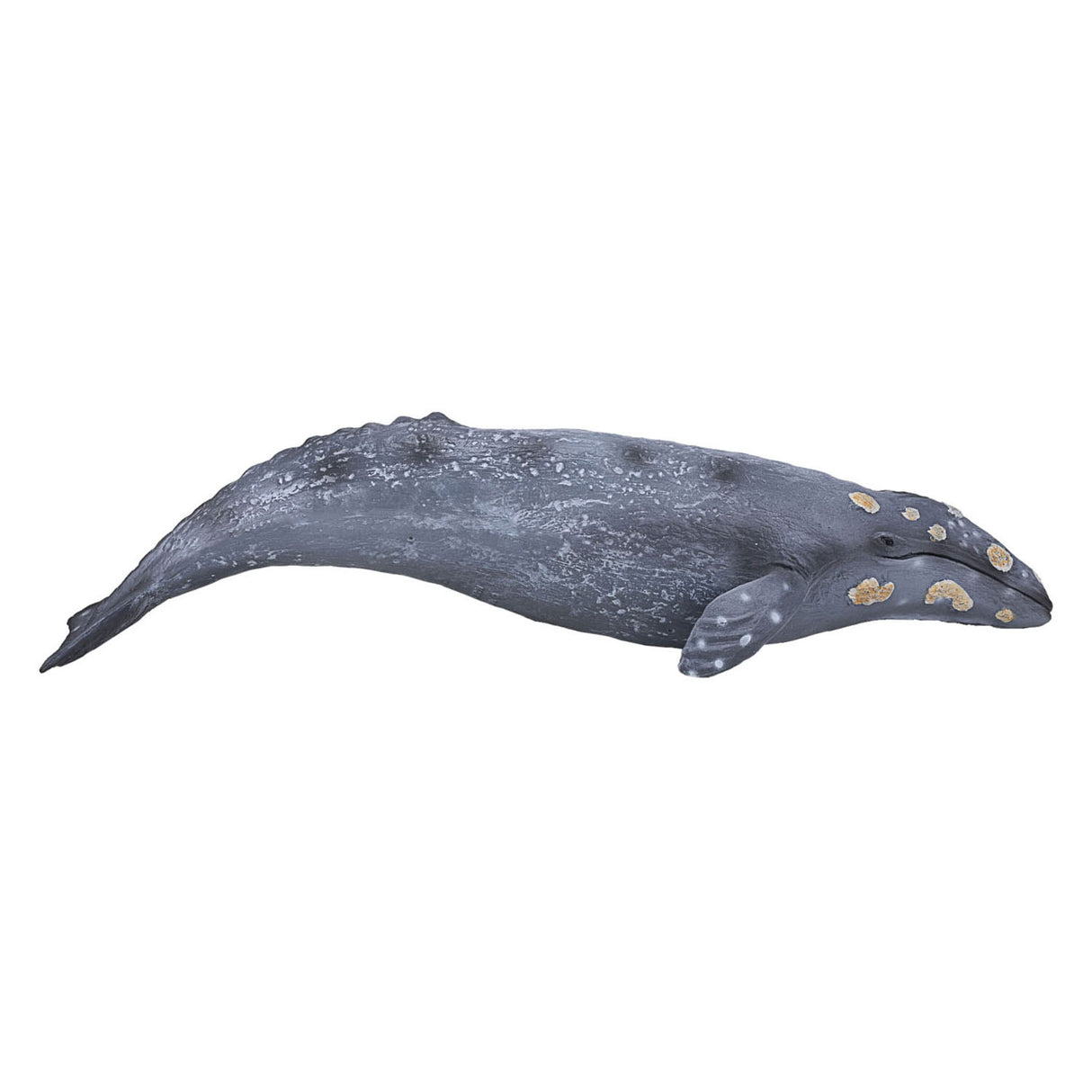 Mojo sealife - baleine grise 387280