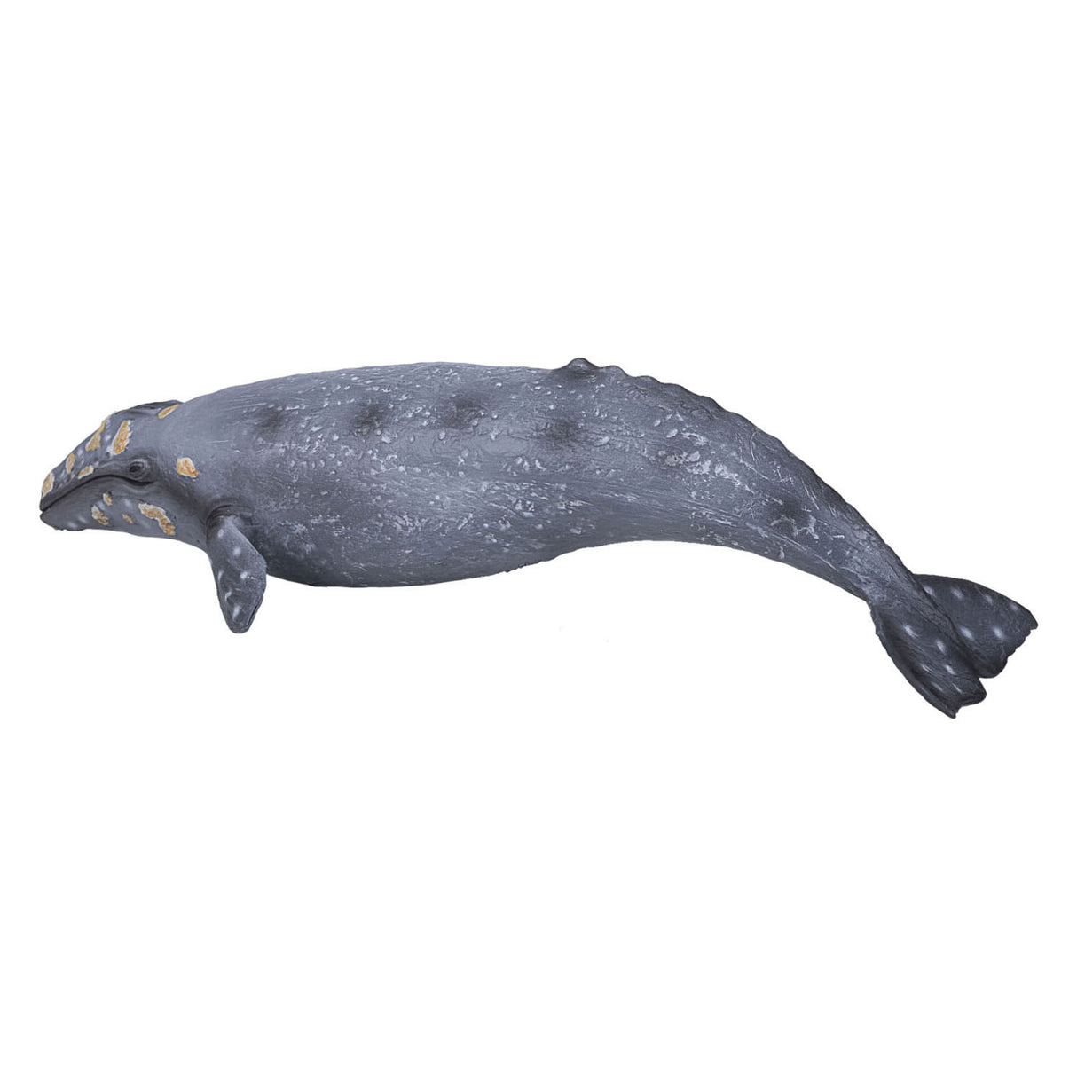 Mojo sealife - baleine grise 387280
