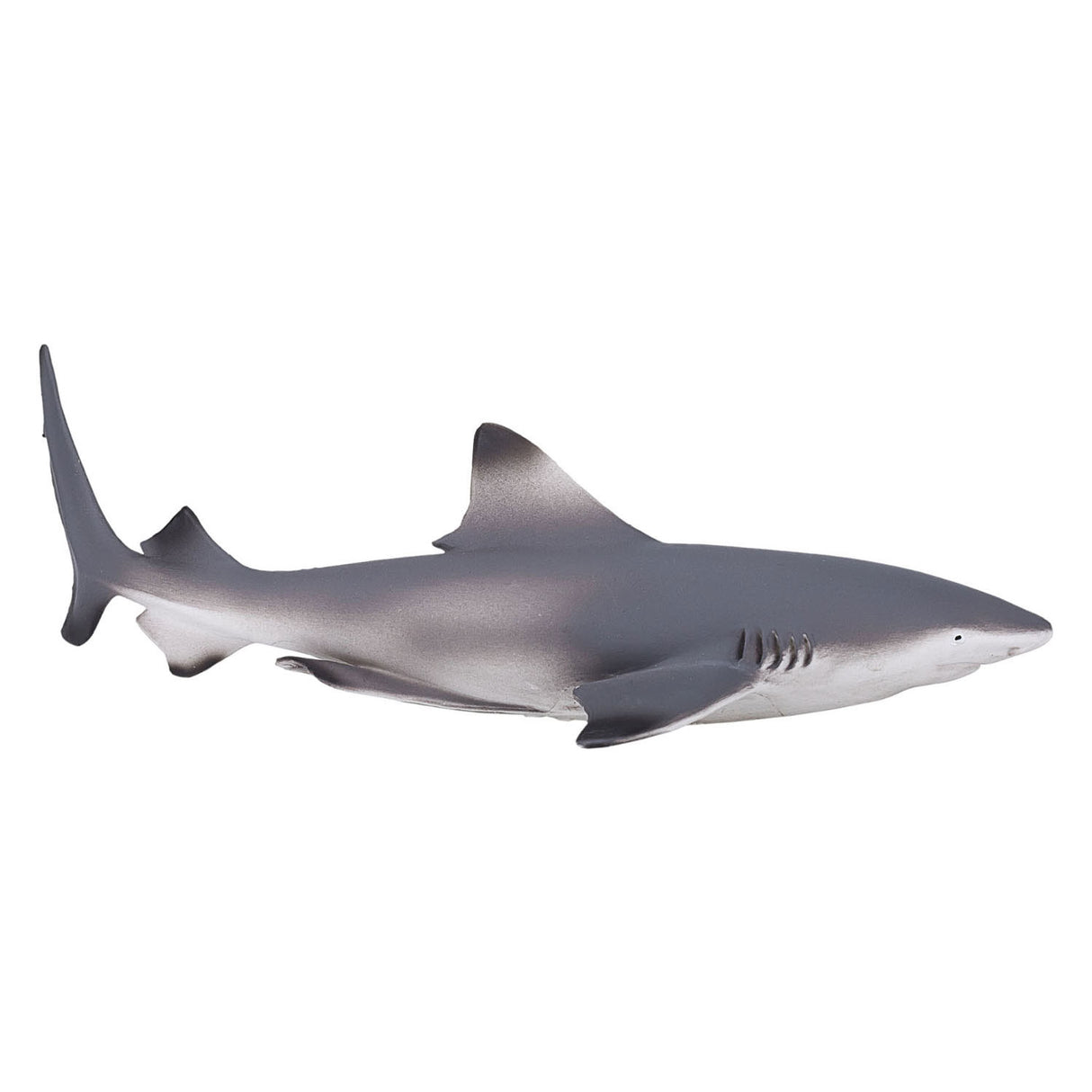 Requin de récif à pointe noire Mojo sealife 387357