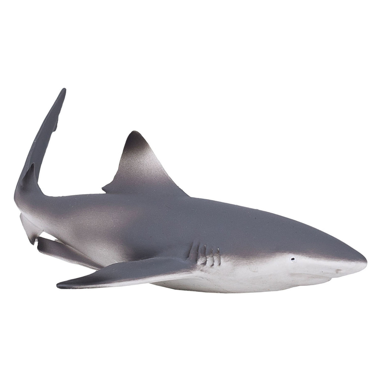 Requin de récif à pointe noire Mojo sealife 387357