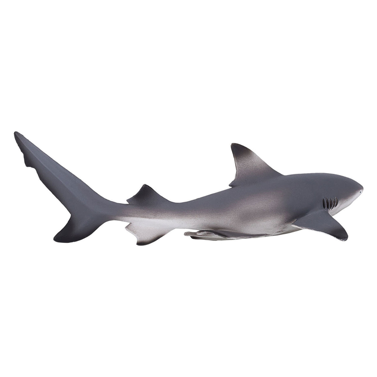 Requin de récif à pointe noire Mojo sealife 387357