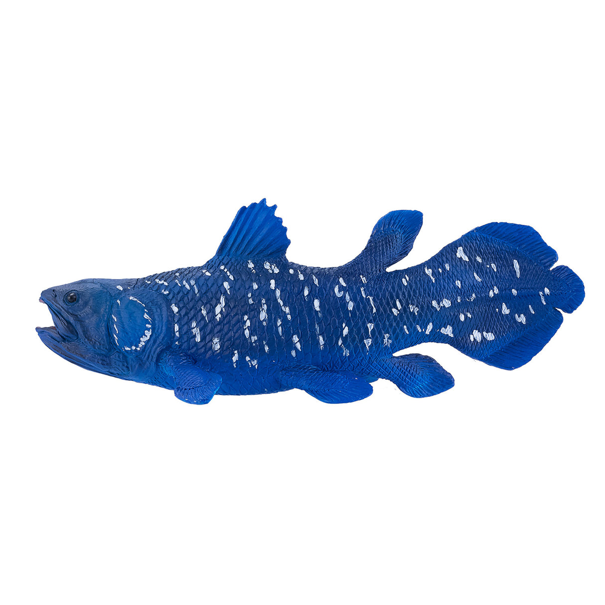 Cœlacanthe Mojo sealife - 381050