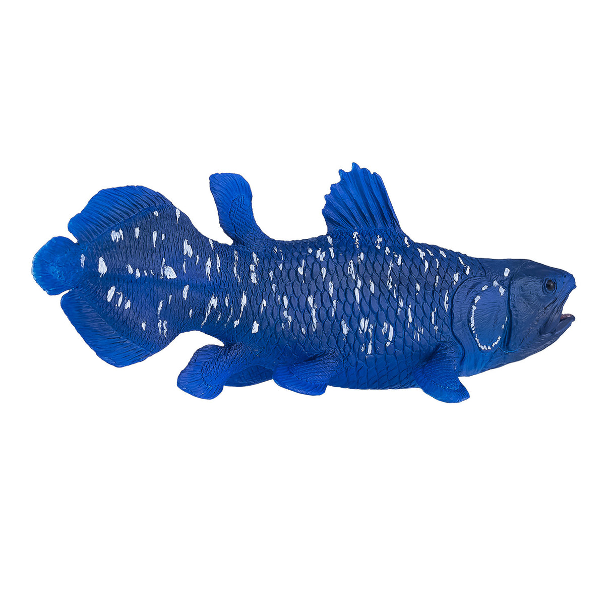 Cœlacanthe Mojo sealife - 381050