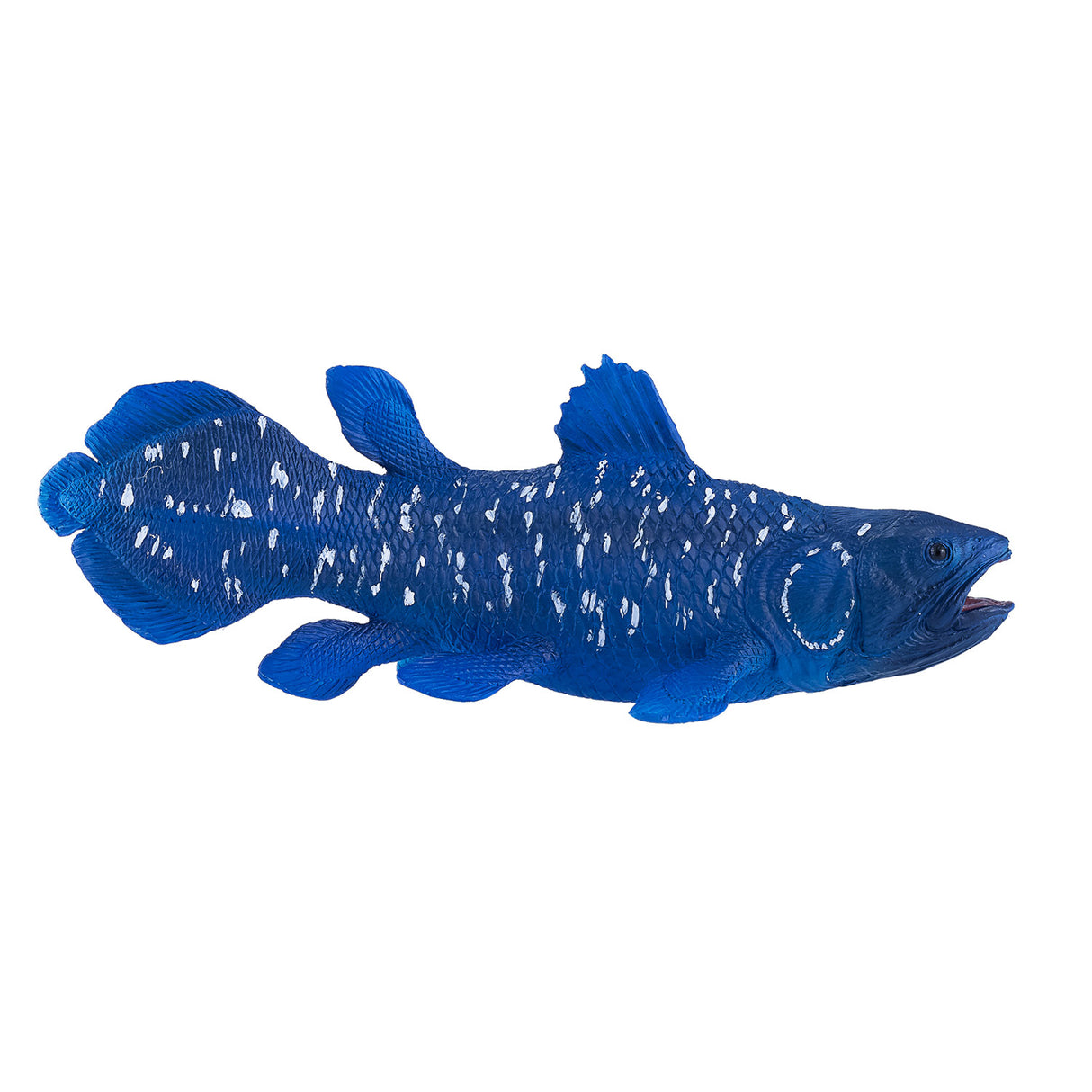 Cœlacanthe Mojo sealife - 381050