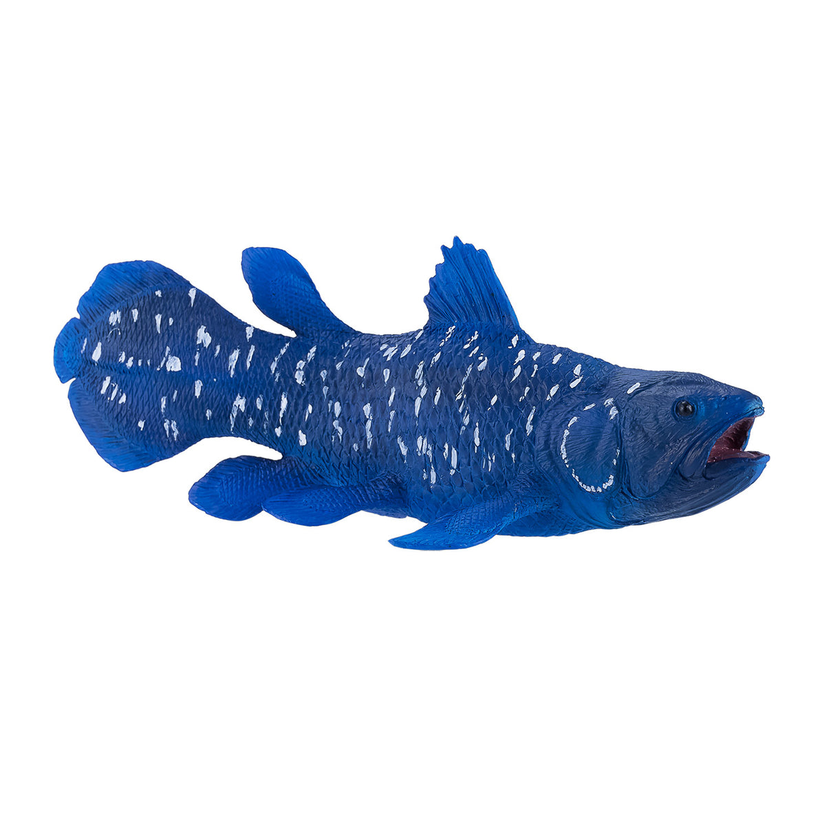 Cœlacanthe Mojo sealife - 381050