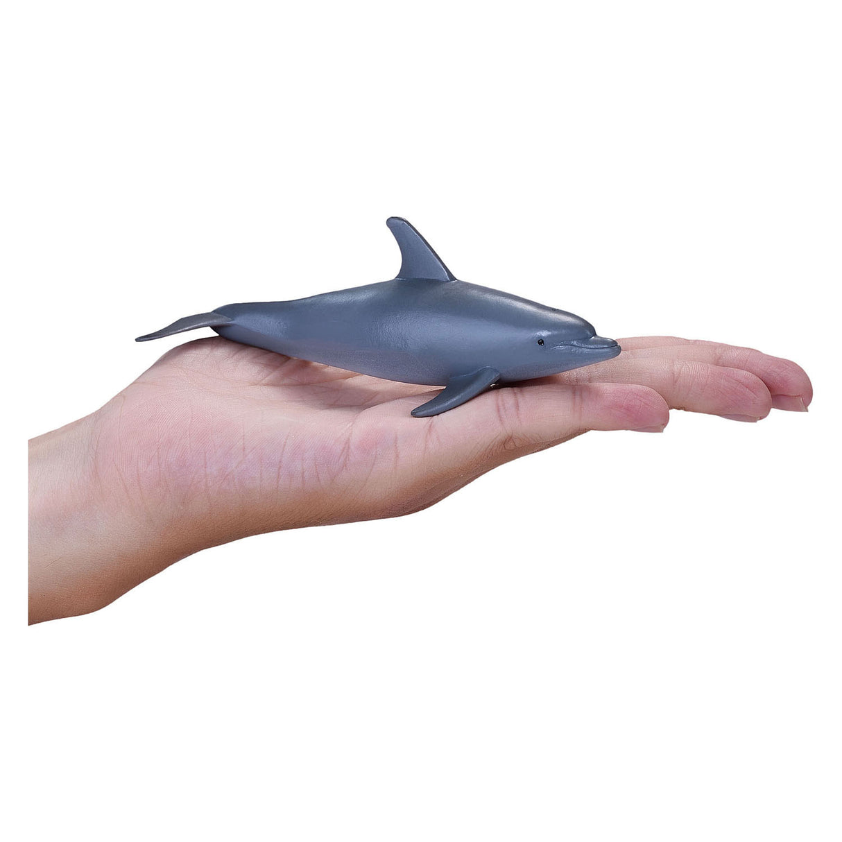 Grand dauphin Mojo sealife - 387118