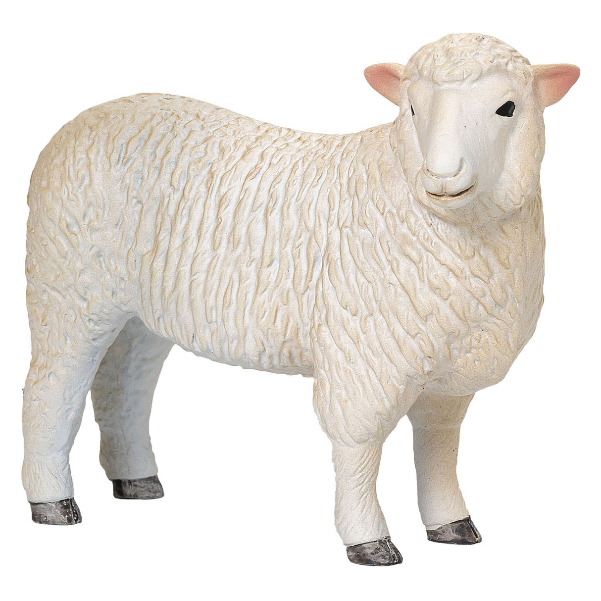 MOJO Farmland Romney Schaap Ooi - 381064