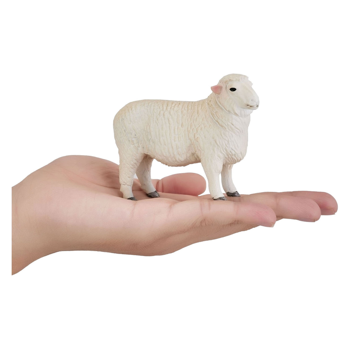 MOJO Farmland Romney Schaap Ram - 381063