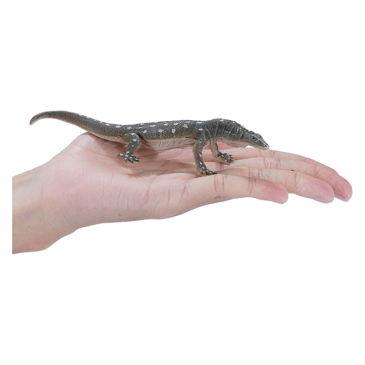 MOJO BILLE PERENTIE HAGEDIS - 381061