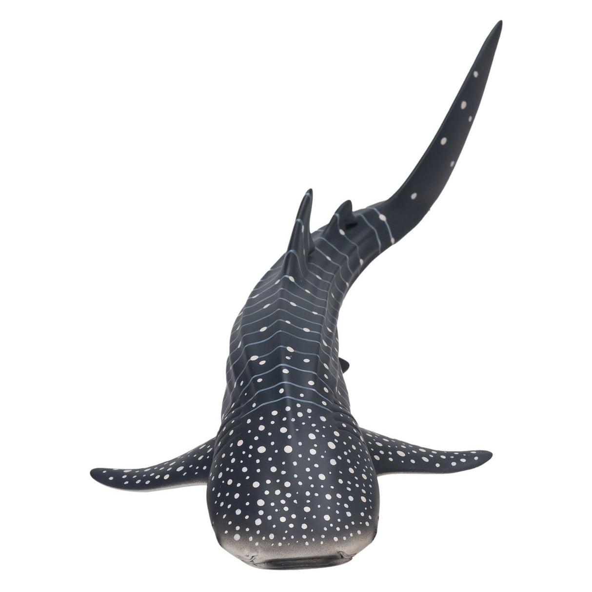 Mojo Seallife Walvishaai - 381038