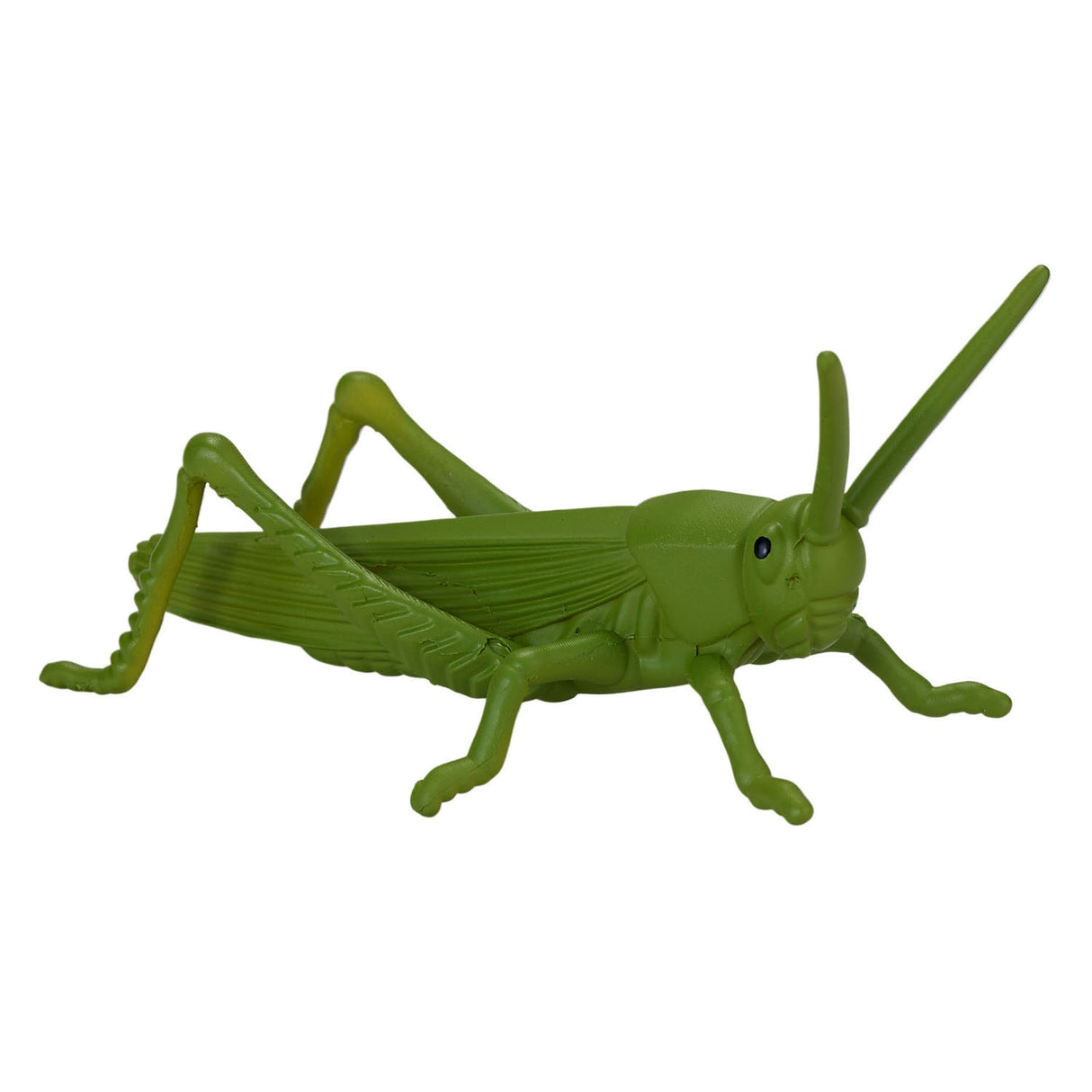 Mojo Wildlife mini insectes et araignées, 12dlg. - 380058