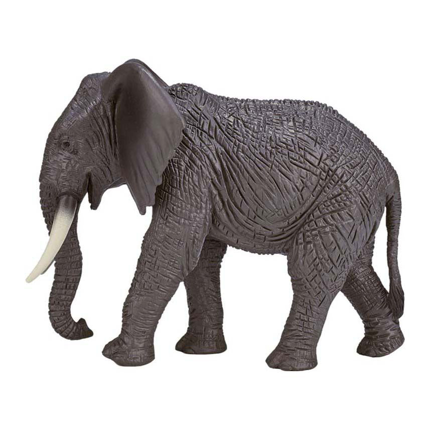 Ensemble de jeu de safari d'animaux sauvages Mojo Wildlife, 6 pièces. - 380026
