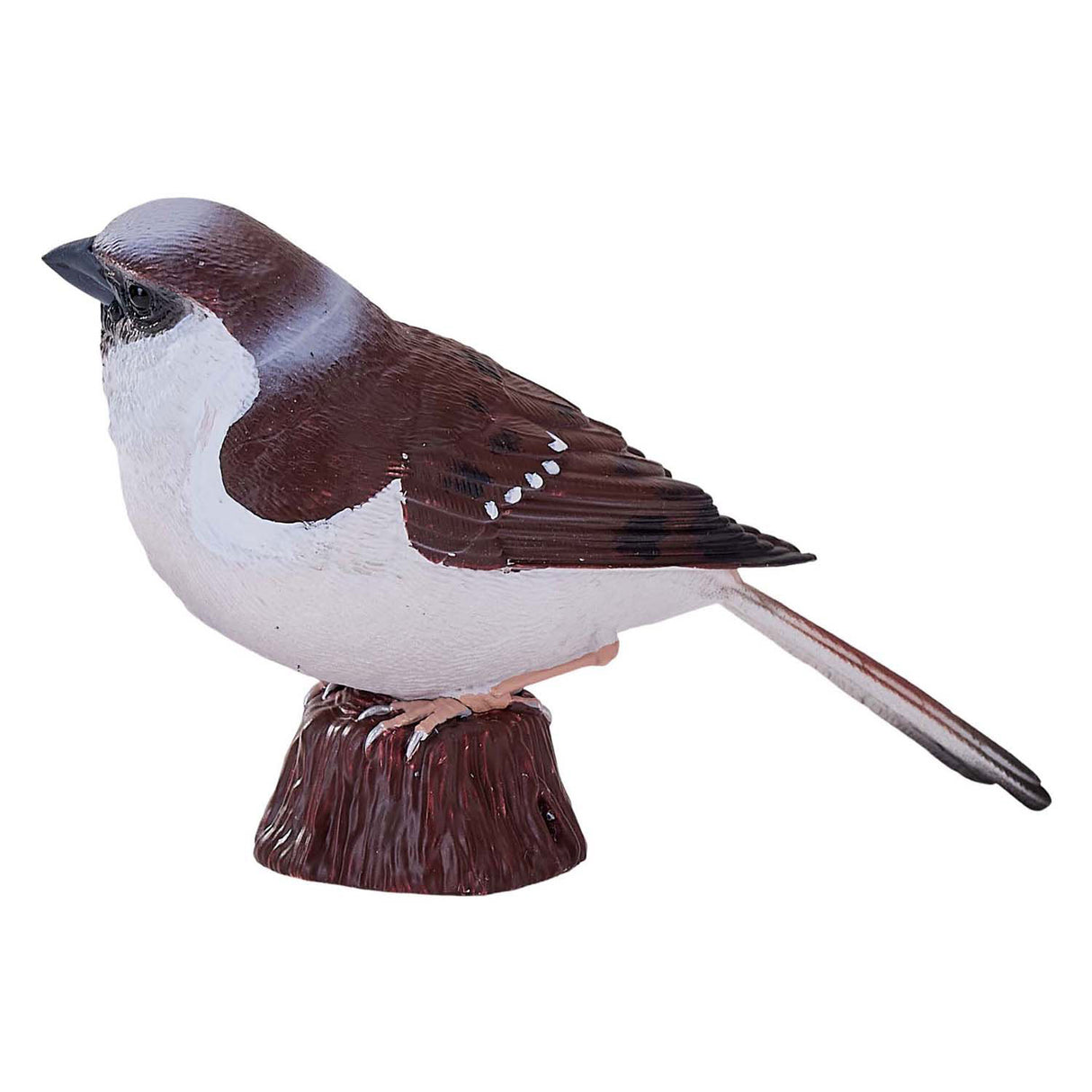 Moineau domestique des terres agricoles Mojo - 381114