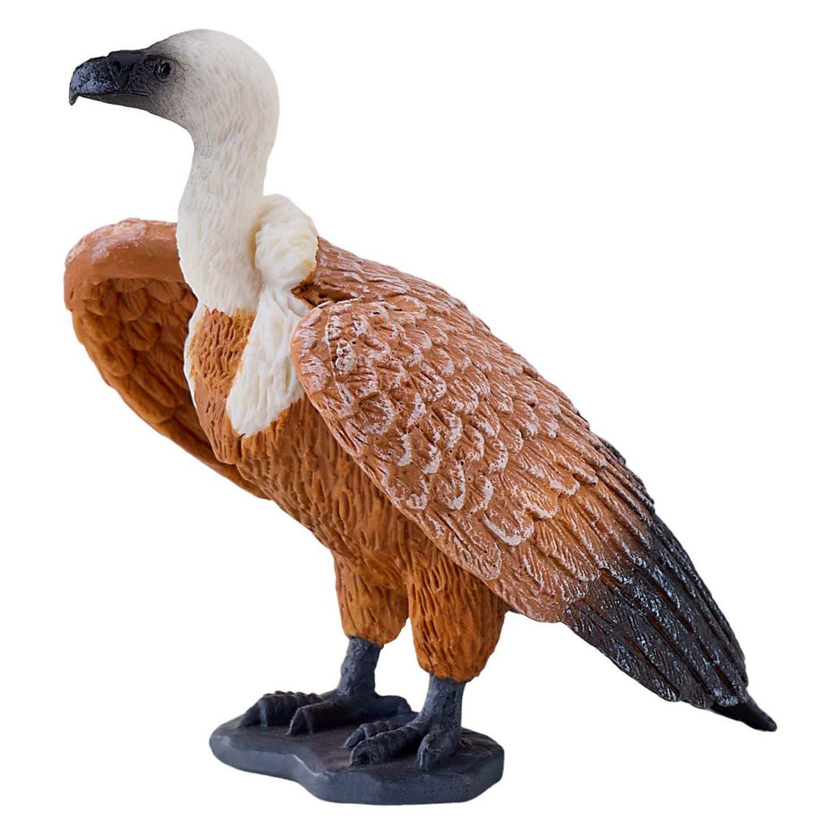 Vautour fauve Mojo - 381099
