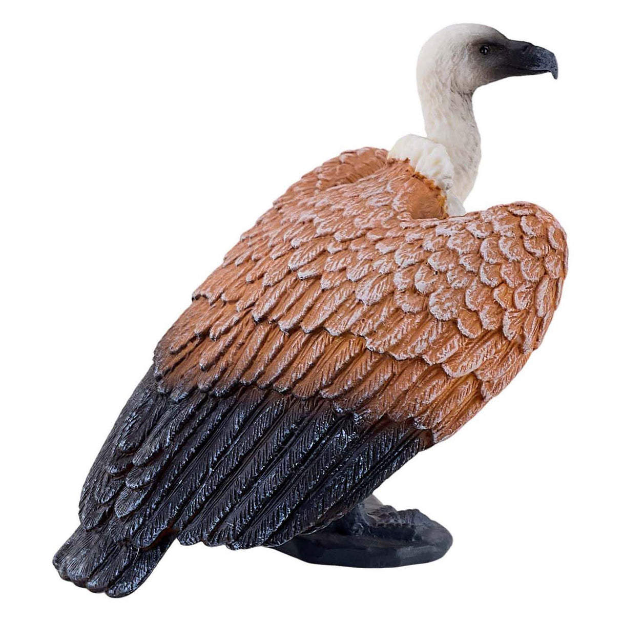 Vautour fauve Mojo - 381099