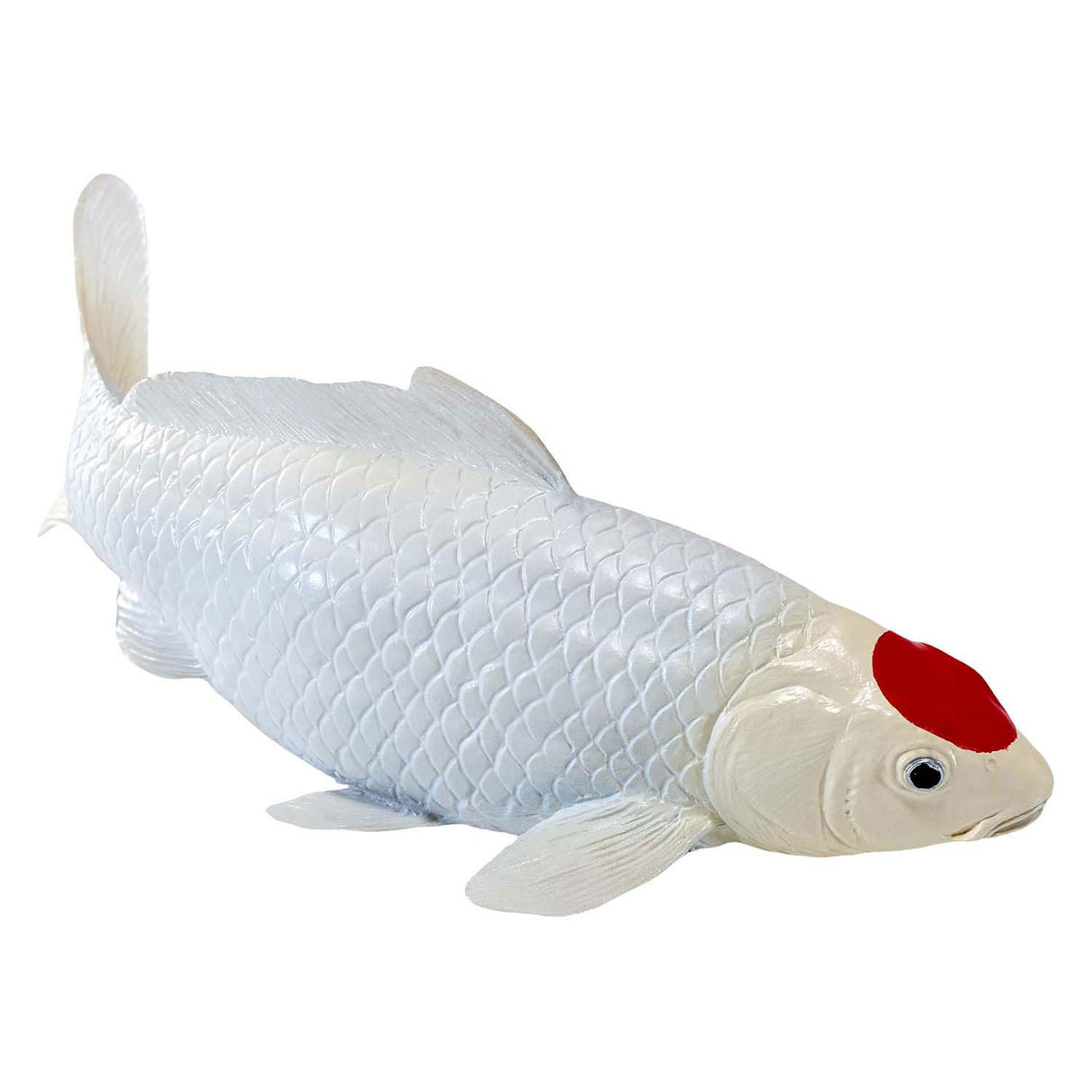 Carpe koi Mojo sealife - tancho koi - 381101