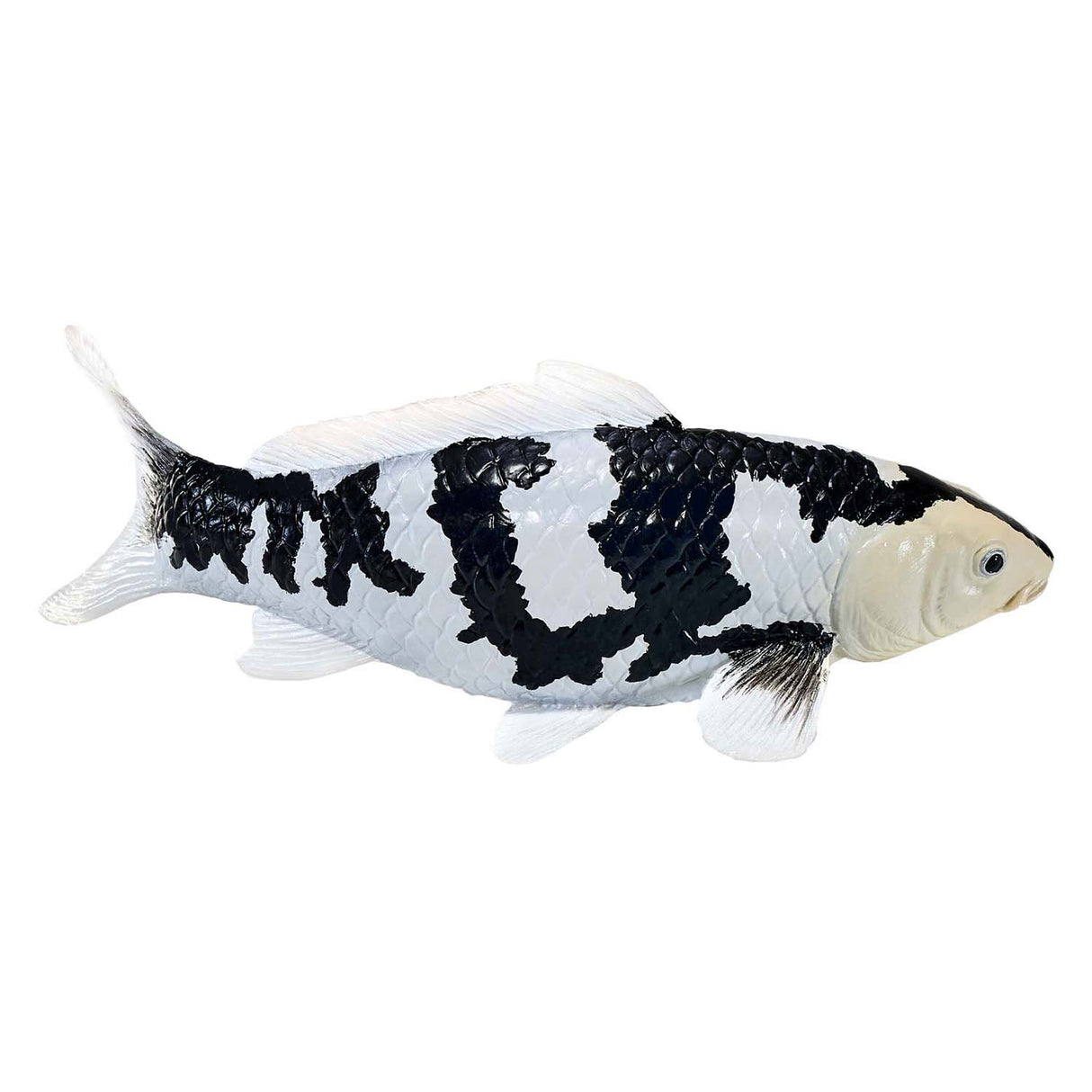 Carpe koi Mojo sealife - shiro utsuri koi - 381102