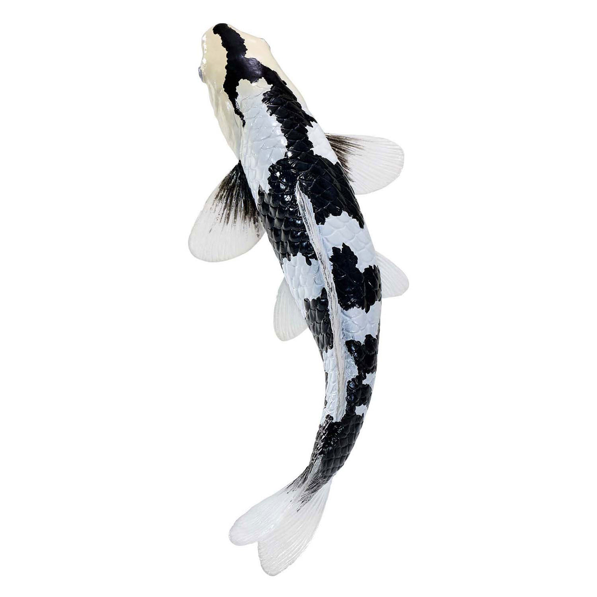 Carpe koi Mojo sealife - shiro utsuri koi - 381102