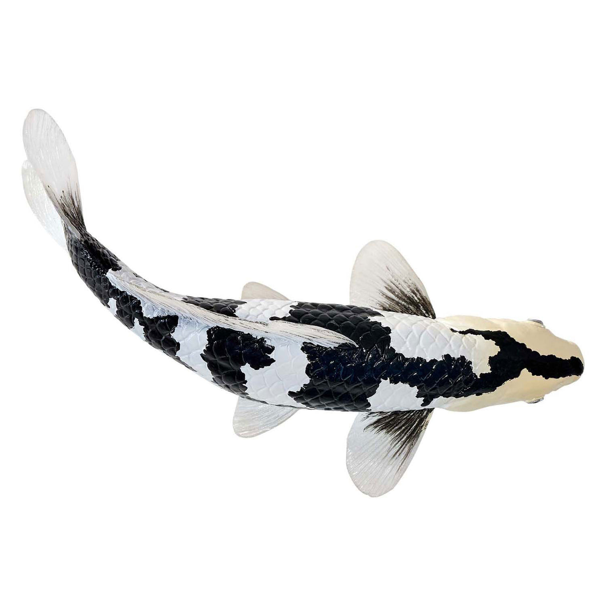 Carpe koi Mojo sealife - shiro utsuri koi - 381102