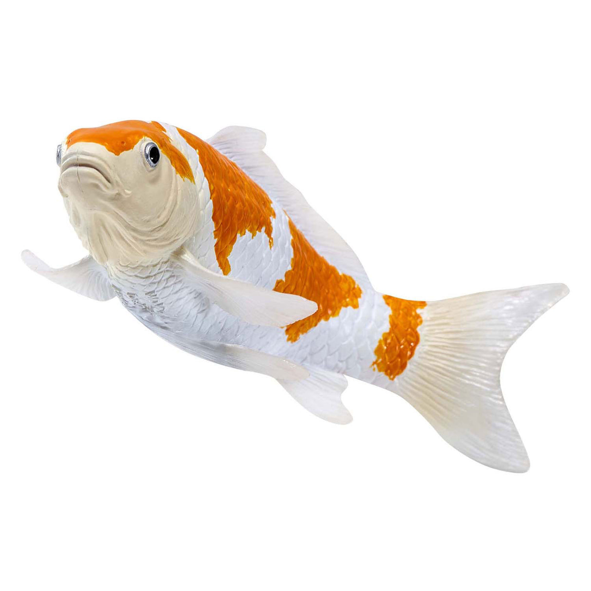 Carpe koi Mojo sealife - ochiba shigure koi - 381104