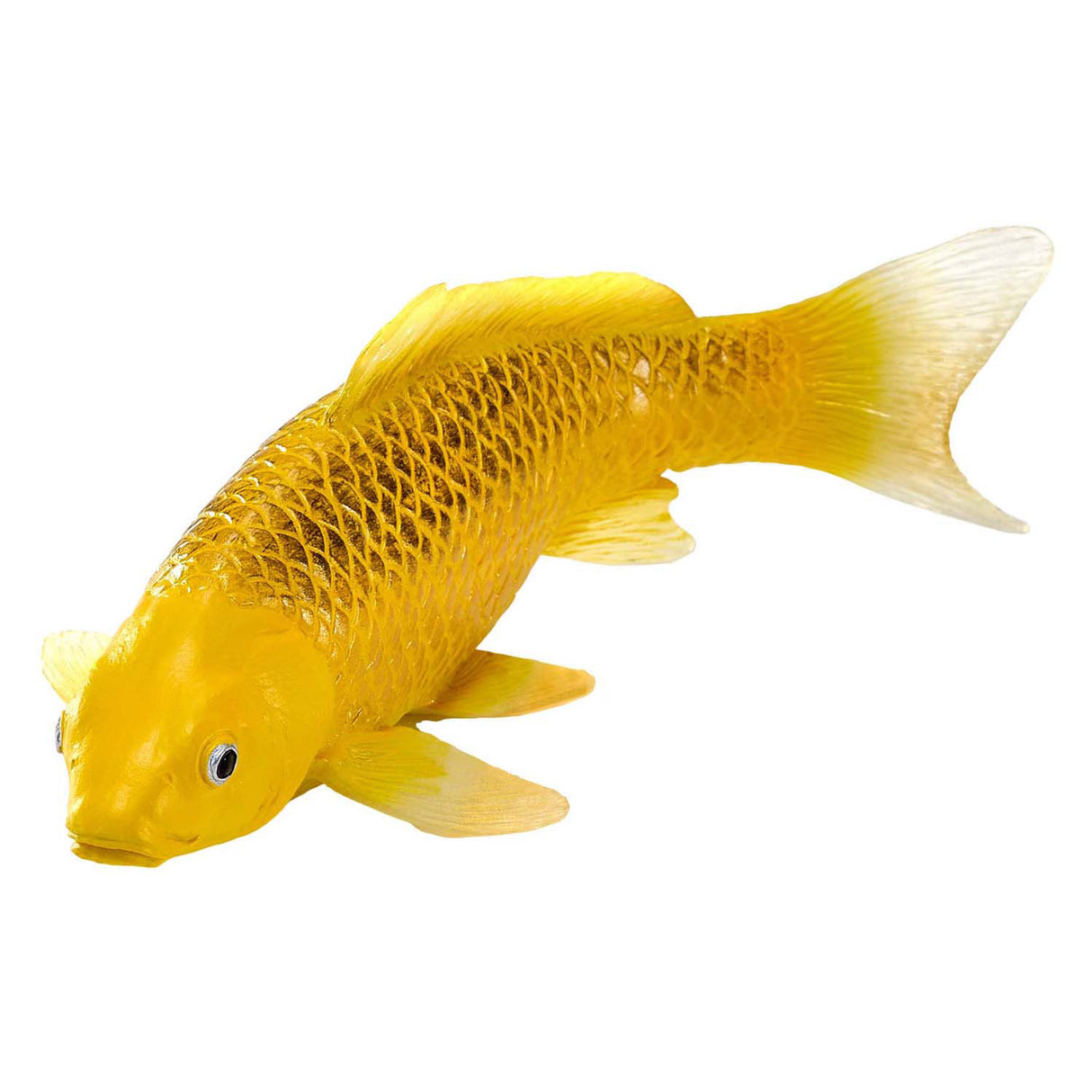 Carpe koi Mojo sealife - menton matsuba koi - 381105