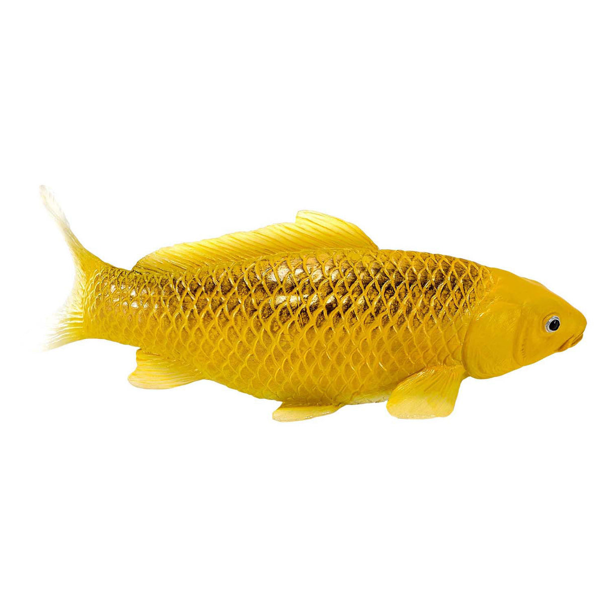 Carpe koi Mojo sealife - menton matsuba koi - 381105