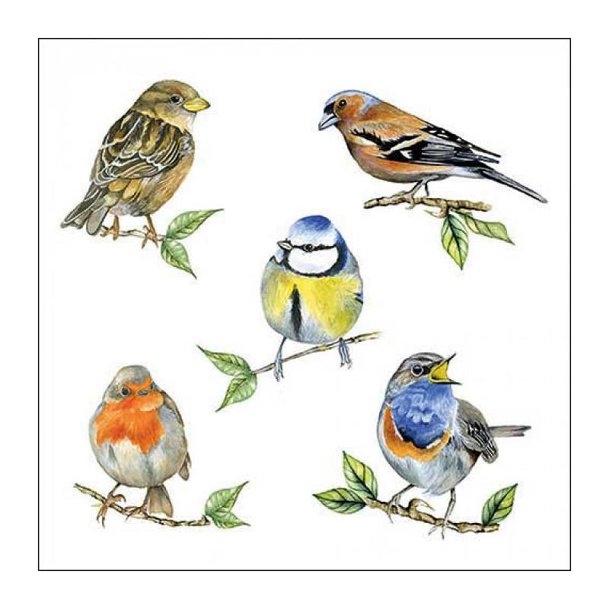 Serviette Ambiente 25 espèces d'oiseaux blanc