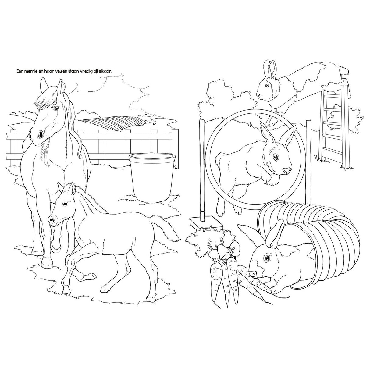 Selecta livre de coloriage animaux de la ferme