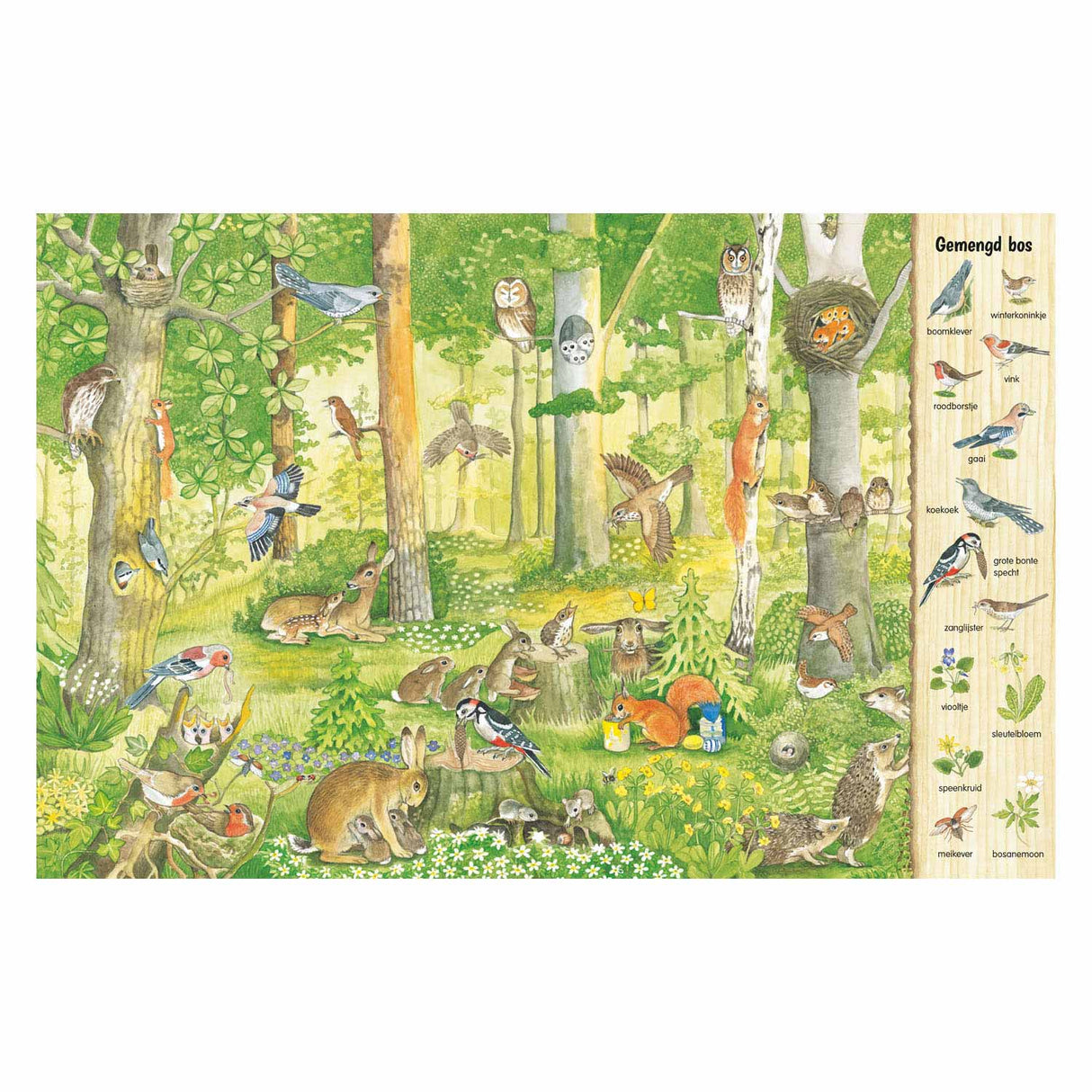 Livre de recherche et de recherche de Delta - dans la forêt