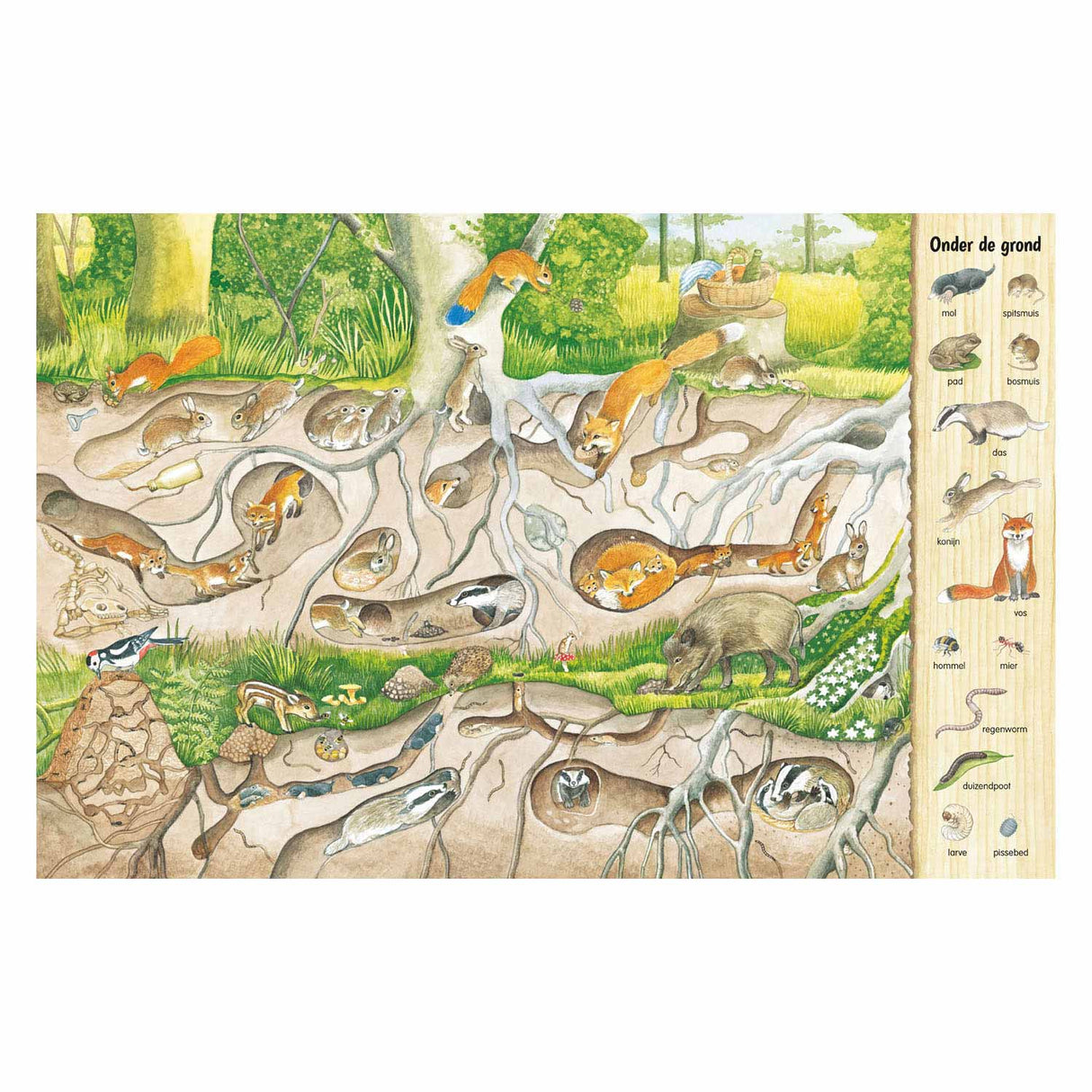 Livre de recherche et de recherche de Delta - dans la forêt