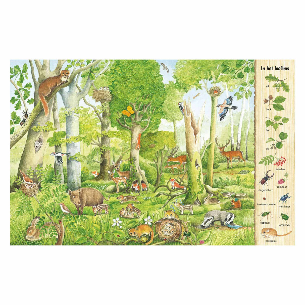 Livre de recherche et de recherche de Delta - dans la forêt