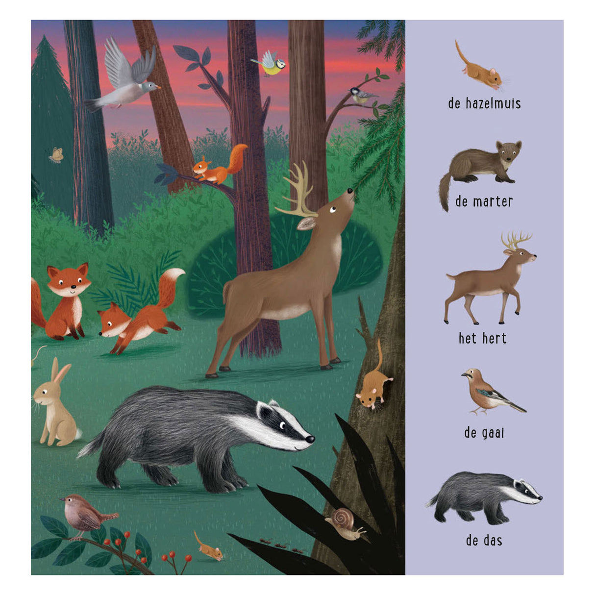 Deltas mon premier livre de recherche - animaux du monde entier