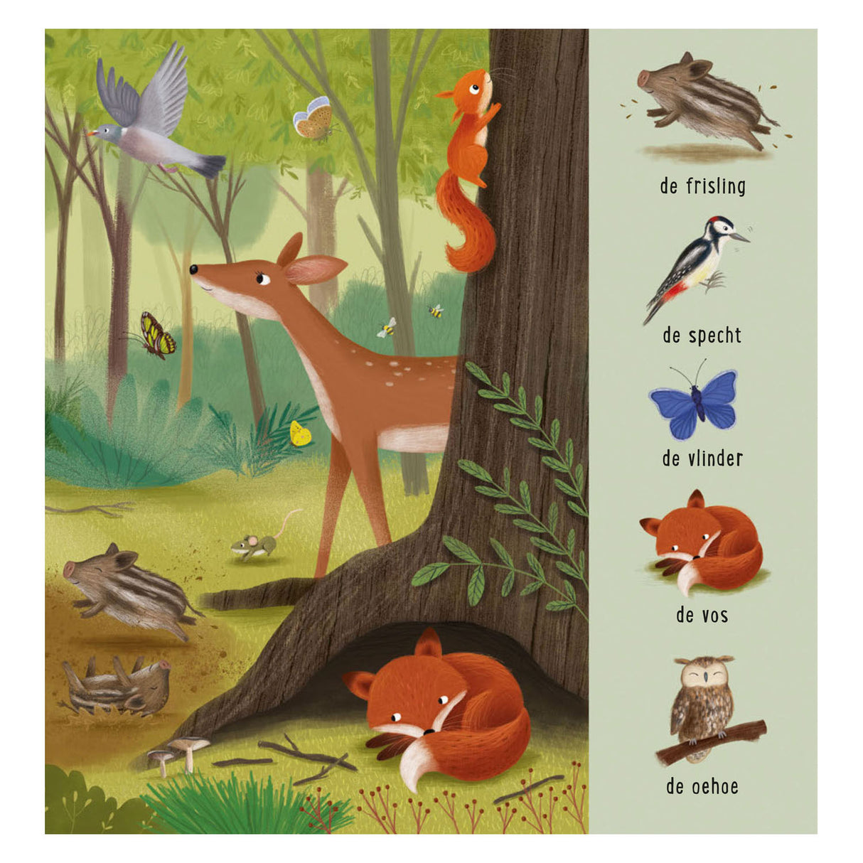 Deltas mon premier livre de recherche - les animaux de la forêt