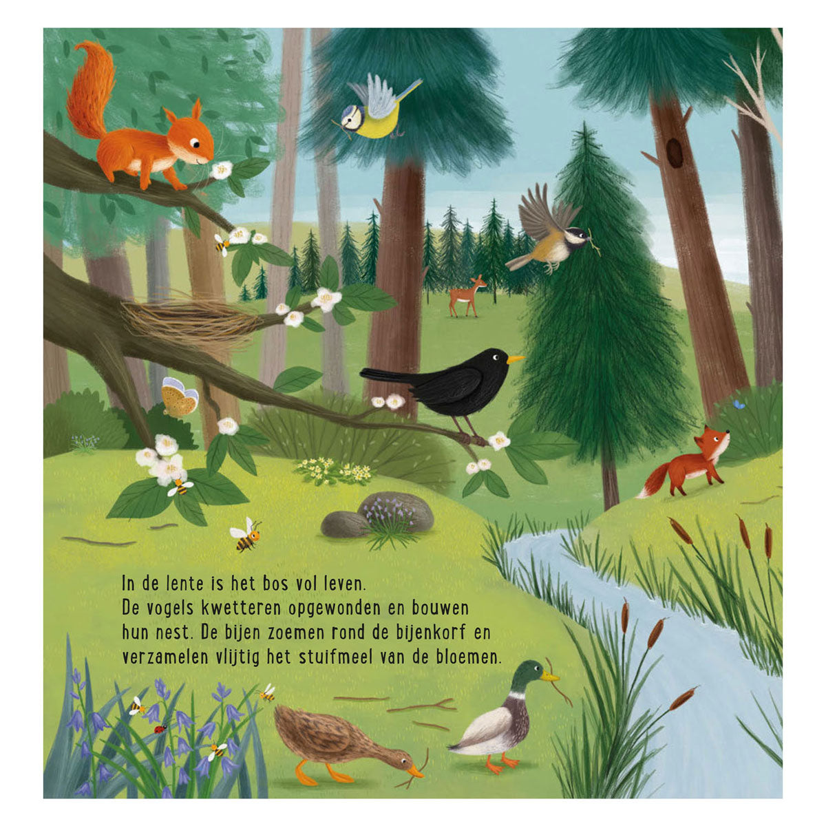 Deltas mon premier livre de recherche - les animaux de la forêt