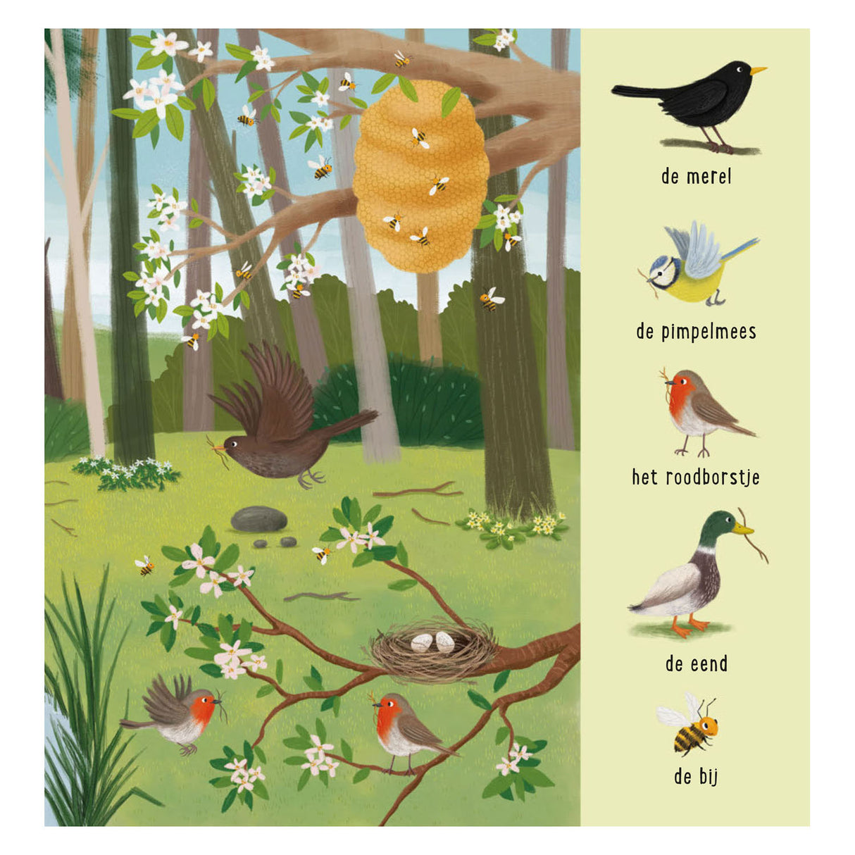 Deltas mon premier livre de recherche - les animaux de la forêt