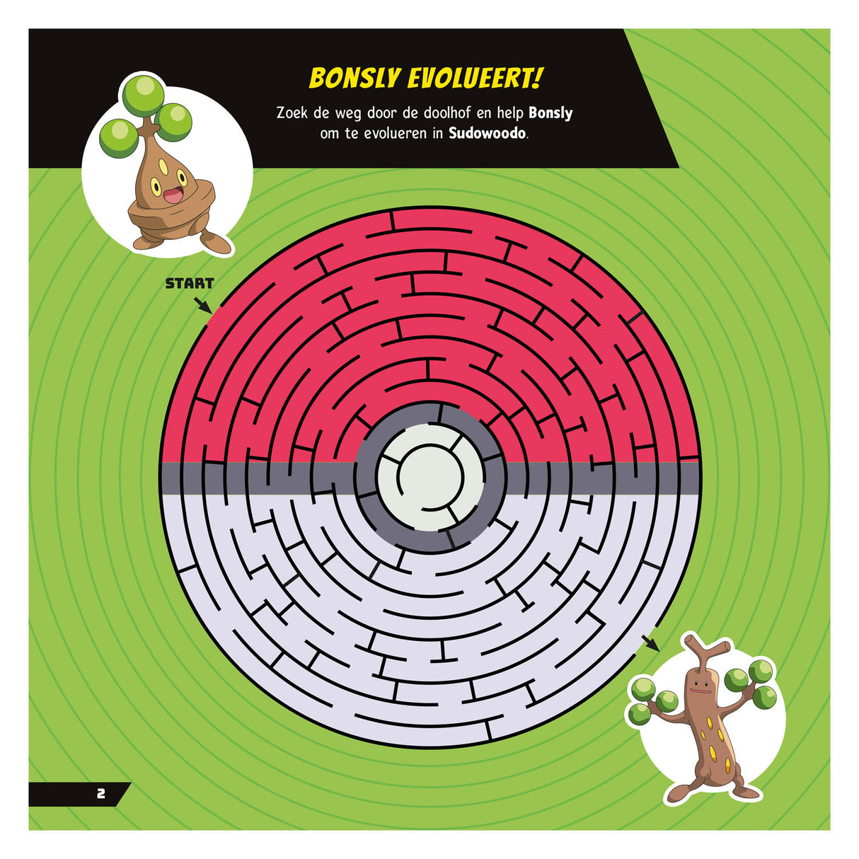 Livre de jeux Pokémon Pokémon Deltas