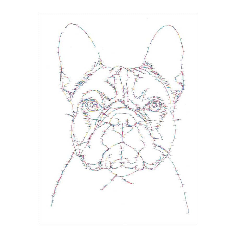 Dessiner des deltas d'un point à l'autre dans le monde des chiens