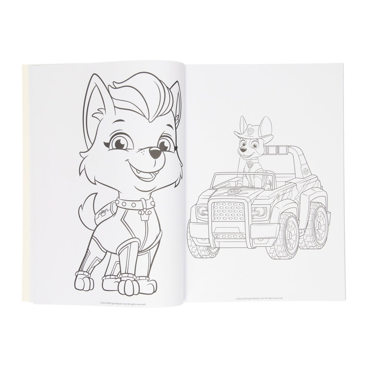 Livre de coloriage Wins Holland Paw Patrol, 128 pages.