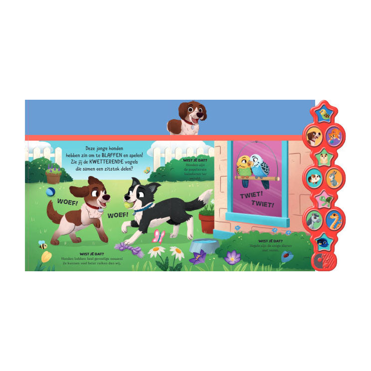 Livre livre de sons d'animaux